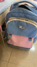 京商日本拉杆书包小学生三到六年级中学生大容量护脊可爬楼三轮拉杆包 三轮蓝粉拼色 实拍图