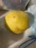 福建平和老树红柚 老少皆宜水果 3-4斤（1-2粒） 皮薄肉厚多汁 实拍图