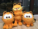 爱绒艺正版加菲猫大电影同款公仔毛绒玩具橘色Garfield胖猫咪玩偶礼物 30cm加菲猫家族-抱手加菲 正版授权 防伪镭射标 实拍图