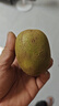 淳果一木 黄心猕猴桃 黄金奇异果金果猕猴桃河南 新鲜水果 生鲜 水果 10个 精选巨无霸大果 单果100克+ 实拍图