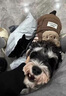 宠城狗狗衣服秋冬可爱四脚衣加绒保暖可牵引中小型犬博美泰迪比熊冬季 棕色小熊【可牵引加绒厚】 M（建议体重5-8斤） 实拍图