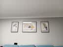 诗六艺家饰客厅装饰画北欧现代简约沙发背景墙挂画三联画大气轻奢壁画晶瓷画 吉祥如意（铝合金外框） 镶钻画左右40*60+中间80*60亮面 实拍图