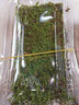 柯必达青苔藓鲜活苔藓微景观植物盆景盆栽水陆缸假山草造景材料白 大灰藓(15*8)cm 2盒 实拍图
