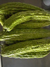 新鲜现摘绿色苦瓜当季凉瓜清脆爽口清热降火新鲜蔬菜生鲜 苦瓜 4斤 带箱 实拍图