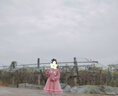 安妮优儿（Anneyol）女童连衣裙春秋款裙子2025新款儿童洋气秋装小女孩衣服红色公主裙 粉色棉里 130 实拍图