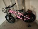 凤凰（Phoenix）儿童自行车男女宝宝脚踏车3-8-12岁儿童山地车14-18-22寸小孩单车 极氪一体轮+ 迷人粉+ 悍马辅助轮 20寸适合身高（130-160cm） 实拍图