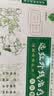 普爱药业远红外线治疗贴普爱止咳贴小孩儿童咳嗽贴小儿宝宝缓解咳嗽穴位贴 【绿盒 儿童款】9贴装*1盒 实拍图