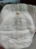 babycare金山茶花婴儿拉拉裤mini装XL码18片(12-17kg)尿不湿【新老混发】 实拍图