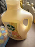滴露（Dettol）衣物消毒液 柠檬 3L*3瓶 杀菌除螨内衣儿童衣物除菌可配洗衣液 实拍图
