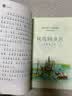 森林报春夏秋冬（4册）儿童自然科普百科全书小学生课外阅读彩图注音版附二十四节气思维导图扫码有声伴读 开学季 实拍图