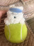 babycare&BCTOYS电动毛绒跳跳球婴儿学说话复读玩具0-1岁宝宝-西高地 实拍图
