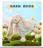 Gabriel毛绒玩具兔子娃娃安抚玩偶节日娃娃小兔子送小朋友生日礼物 W1892穿裙莉迪亚送礼盒 30cm 实拍图