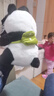 熊猫熊小熊猫玩偶儿童毛绒玩具娃娃花花大公仔生日礼物陪睡布娃娃抱抱熊 实拍图