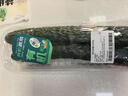 【嫩芽尖尖】菜心苗250g(长度≤15cm) 实拍图
