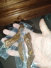 皓月手撕风干牛肉500g 牛肉零食 独立小包装 内蒙古风味清真牛腿肉干  实拍图