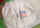 bebebus金标茶树精华成长裤L28片(9-14kg)透气超薄拉拉学步裤男女宝 实拍图