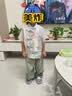 旗铂汉服男童夏季儿童新中式国风古风唐装 鸿影短袖（仅上衣） 110 实拍图