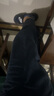 佐丹奴八分裤女夏季莱赛尔阔腿裤简约松紧腰休闲裤女05425335 实拍图