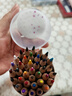 晨光（M&G）文具36色水溶性彩色铅笔学生美术填色含笔刷红筒装生日礼物AWP36811热门商品 实拍图