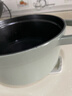 珐宝（staub）法国进口珐琅铸铁锅双耳煲汤锅烹饪锅具尤加利绿色22cm 1025321 实拍图