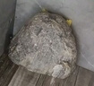 正宗大号泰山石敢当天然原石补角景观赏石摆件靠山石转运石头摆件 原石13到16厘米随机发【含坐】 实拍图