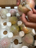 陇百味苹果新鲜现摘 山西运城红富士脆甜 当季应季时令水果整箱产地直发 净重4.5斤单果70mm+ 实拍图