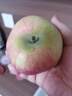 阿克苏苹果新疆阿克苏冰糖心苹果 时令苹果水果 丑苹果红富士 一级果单果约75-90mm净重4.5-5斤 实拍图