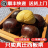 栗小胖新货迁西板栗生新鲜栗子生鲜迁西生栗子大油栗小毛唐山板粟 老树品种净重5斤大果带开栗器（实惠性价比高） 实拍图