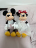 迪士尼（Disney）经典米奇米妮毛绒玩偶玩具大号公仔抱枕儿童生日送女生情侣礼物 米奇红色小号+米妮红色小号 实拍图
