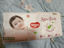 好奇（Huggies）铂金装小桃裤纸尿裤XL96片(12-17kg)加大号尿不湿透【透爽散热】 实拍图