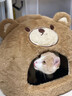 贝初众猫窝保暖冬季封闭式冬天专用猫屋可拆洗猫咪房子宠物狗窝四季通用 可爱小熊-M【建议6斤内】 【封闭式加厚保暖】 实拍图