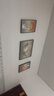 Sixpoetry 客厅装饰画现代简约沙发背景墙壁画轻奢三联晶瓷画大气高档挂画 福禄生花（铝合金外框） 晶瓷画左右40*60+中间80*60亮面 实拍图