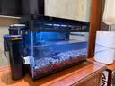 AMTRA TECHNIK德国安彩壁挂过滤器ex450鱼缸过滤器龟缸低水位 EX450龟缸版【内含滤材】 实拍图