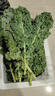 羽衣甘蓝新鲜生鲜蔬菜嫩叶甘兰芥蓝西餐沙拉榨汁减肥减脂 羽衣甘蓝闺蜜2斤装 实拍图