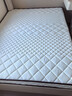 海马飞雪床垫席梦思天然椰棕乳胶独立弹簧床垫酒店厚薄双人家用榻榻米垫子 12cm厚偏硬款(3E椰棕+独立弹簧) 1.5x1.9米 实拍图