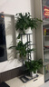 蜗家花架客厅落地多层置物架室内阳台绿萝多肉植物摆放花盆架深灰 实拍图