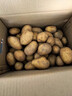恩施小土豆富晒新鲜现挖黄皮迷你马铃薯粉糯高山洋芋马尔科土豆 9斤-小果-乒乓球大小(净重) 实拍图