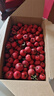新鲜山楂批发新鲜精选优质好果现摘现发冰糖葫芦糖雪球专用包邮 带箱5斤 实拍图