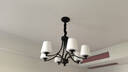 雷士（NVC）经典美式复古吊灯客厅大灯餐厅灯卧室灯灯具灯饰全屋套餐 花蕊 10头美式吊灯【另购光源】 实拍图