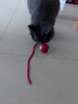 HELLOJOY猫咪玩具自嗨解闷神器智能电动逗猫球自动逗猫棒幼猫遛猫消耗体力 实拍图