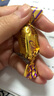 怡口莲 太妃糖 两种巧克力味 33g*10袋 结婚喜糖 糖果休闲零食 实拍图