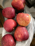 玖原农珍 甘肃静宁富士大漠冰糖心苹果源头直发采摘新鲜礼品水果含箱 9斤净果8.5斤精选果70-80mm 实拍图