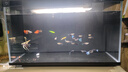 米家小米智能鱼缸 一体整机免装语音遥控半年免换水APP定时喂食水族箱 米家智能鱼缸+鱼缸滤芯【物理+生化】 实拍图