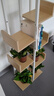 帅力书架 树形多层储物置物花盆架阳台花架子六层原色SL17102Z 实拍图