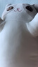 捉趣（ZHUOQU）猫咪抱枕公仔毛绒玩具女孩长条玩偶冰丝睡觉夹腿抱枕女生生日礼物 灰色【独立内胆】 全长约90cm 实拍图