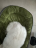 PEITE PET宠物猫狗窝冬季保暖可拆洗狗狗垫子大中小型犬四季通用睡垫沙发床 跑道窝-绿色【升级加厚加高】 L【60*50cm适合15斤内宠物使用】 实拍图