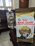 皇家猫粮10kg英短猫粮成猫粮布偶美短波斯虎斑蓝猫专用全价猫粮通用粮 P30波斯猫成猫猫粮2kg 实拍图