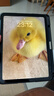 Apple/苹果 iPad11英寸 A16芯片2025年款 平板电脑 (256GB WLAN版/学习办公娱乐)蓝色 实拍图