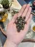 音朗 四大茉莉花茶叶 川派茉莉飘雪曲螺茉莉毛尖龙珠口粮茶盒装180g 实拍图