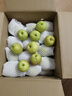 采缇 新疆库尔勒香梨 全母梨当季整箱孕妇水果正宗特级新鲜9斤 9斤特大果纯母梨 实拍图